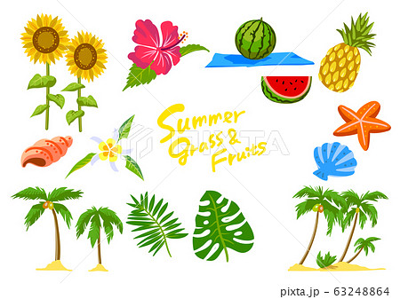 夏の植物とフルーツセットのイラスト素材