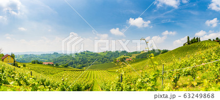 Sulztal, Styria Austria - 2 June 2018: Vineyards 63249868