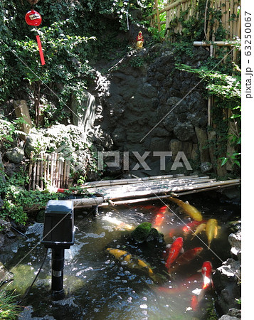 台東区の吉原弁財天にある弁天池 台東区の吉原弁財天にある弁天池 63250067