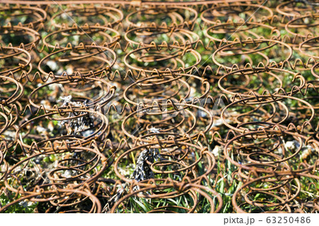 an old rusty bed 63250486