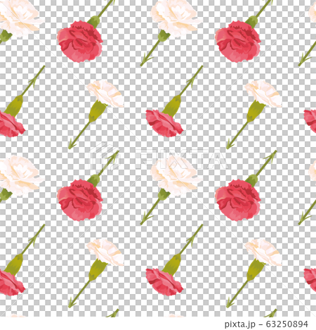 Carnation background pattern Carnation background pattern 63250894