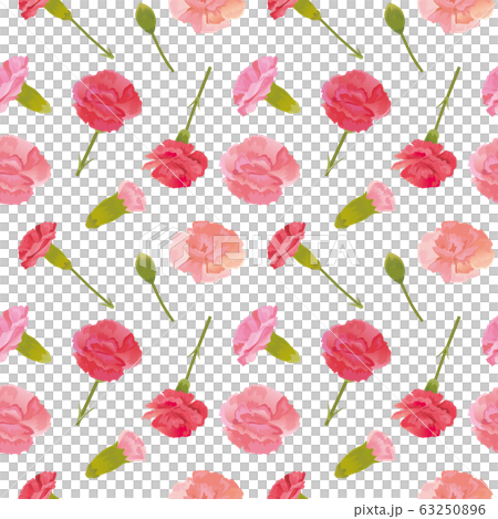 Carnation background pattern 63250896