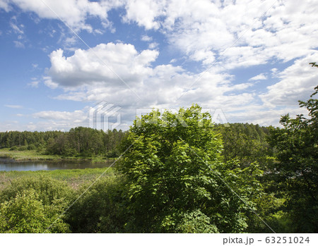 real nature 63251024