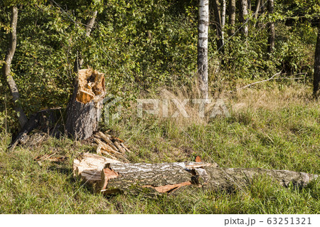 harvesting and storage harvesting and storage 63251321