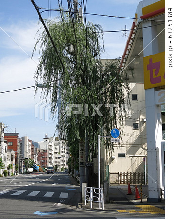 吉原遊郭の名残である見返り柳 63251384