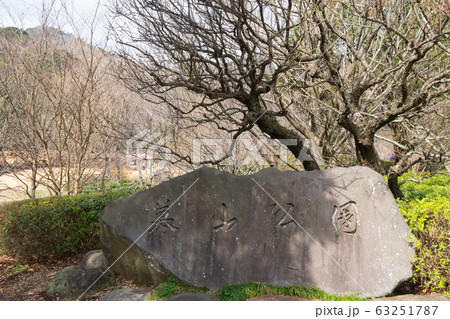 幕山公園 63251787
