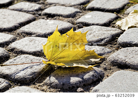 beautiful modern road 63252039