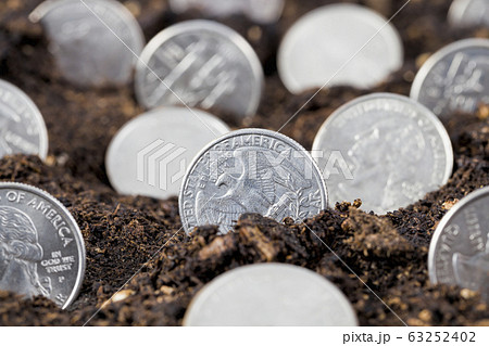 quarter of the American dollar quarter of the American dollar 63252402
