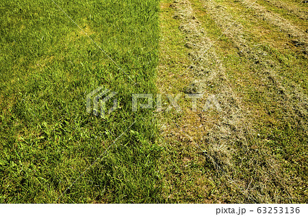 grass mowing care grass mowing care 63253136