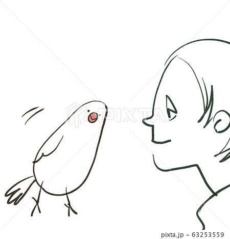 文鳥と飼い主　白文鳥　鳥 63253559