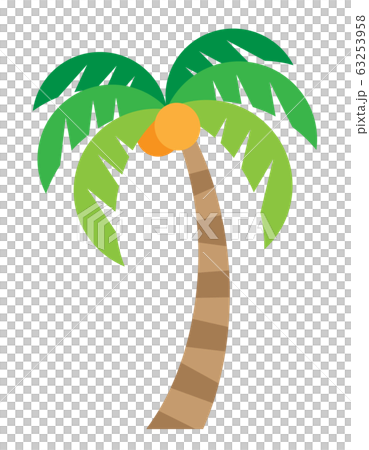 簡單的棕櫚樹 63253958