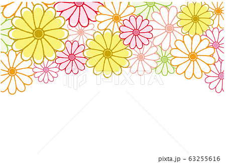 菊の花 フレーム 背景素材 ポストカード 63255616