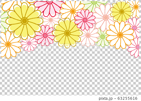 菊の花 フレーム 背景素材 ポストカードのイラスト素材