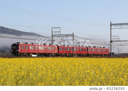 近鉄鮮魚列車2680系と菜の花畑 近鉄鮮魚列車2680系と菜の花畑 63256292