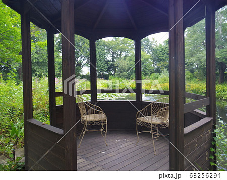 庭先で…。 庭先で…。 63256294