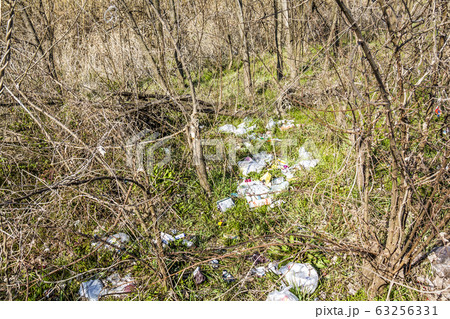 不法投棄 63256331