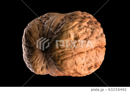 Macro photo of whole walnut isolated on a black background with clipping path Macro photo of whole walnut isolated on a black background with clipping path 63258492