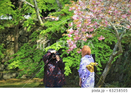 南禅寺の桜と着物女子 南禅寺の桜と着物女子 63258505