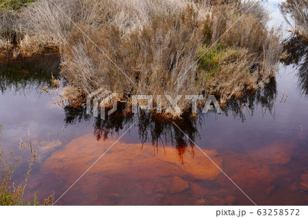Laguna Salada in Torrevieja, Spain. Pink Salted 63258572