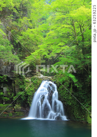 【三重県】赤目四十八滝　千手滝 63259225