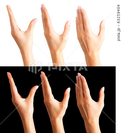 Set of women's hands taking or showing something Set of women's hands taking or showing something 63259404