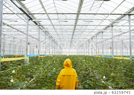 Woman working in the garden 63259745