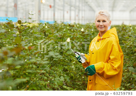 Gardener cutting flowers 63259793