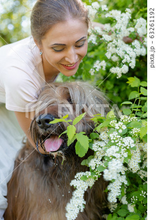 A young girl in a white dress is in the park with her pet dog briard. A young girl in a white dress is in the park with her pet dog briard. 63261192