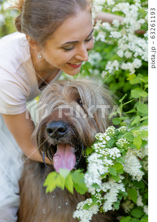 A young girl in a white dress is in the park with her pet dog briard. A young girl in a white dress is in the park with her pet dog briard. 63261193