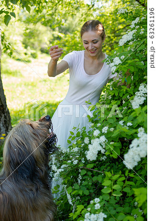 A young girl in a white dress is in the park with her pet dog briard. A young girl in a white dress is in the park with her pet dog briard. 63261196