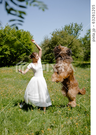 A young girl in a white dress is in the park with her pet dog briard. 63261205