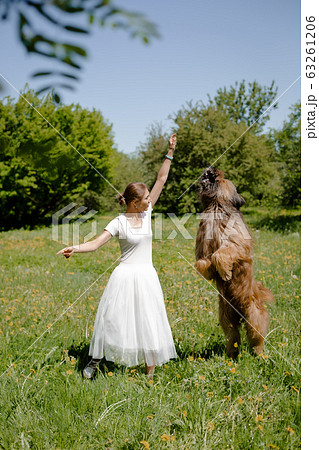 A young girl in a white dress is in the park with her pet dog briard. A young girl in a white dress is in the park with her pet dog briard. 63261206
