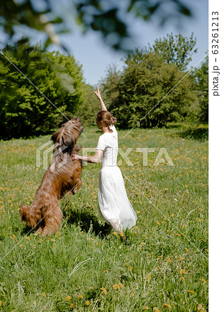 A young girl in a white dress is in the park with her pet dog briard. 63261213