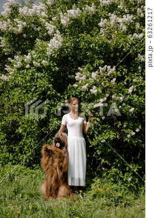 A young girl in a white dress is in the park with her pet dog briard. A young girl in a white dress is in the park with her pet dog briard. 63261217