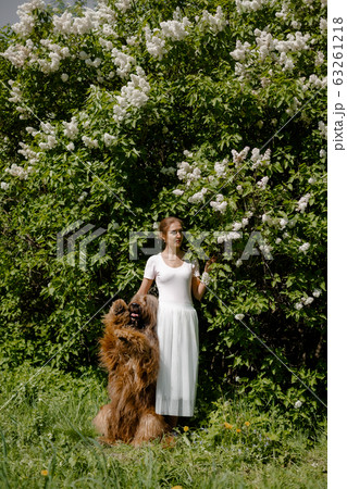 A young girl in a white dress is in the park with her pet dog briard. A young girl in a white dress is in the park with her pet dog briard. 63261218