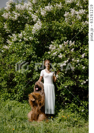 A young girl in a white dress is in the park with her pet dog briard. 63261219