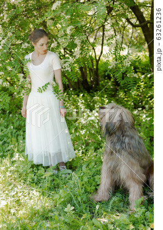 A young girl in a white dress is in the park with her pet dog briard. 63261236