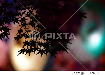 あかりば（新潟県） 63261960