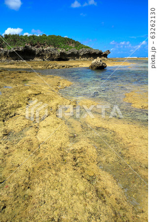 本部半島　備瀬崎の風景 63262130