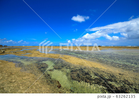 本部半島　備瀬崎の風景 63262135