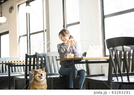 ドックカフェ カフェ 犬 女性 ドックカフェ カフェ 犬 女性 63263291