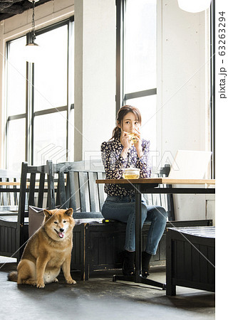 ドックカフェ カフェ 犬 女性 ドックカフェ カフェ 犬 女性 63263294