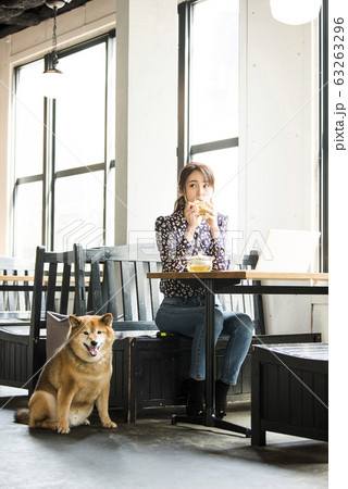 ドックカフェ カフェ 犬 女性の写真素材