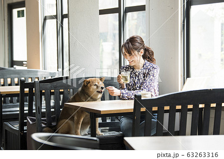 ドックカフェ　カフェ　犬　女性 63263316