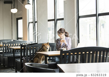ドックカフェ　カフェ　犬　女性 63263319