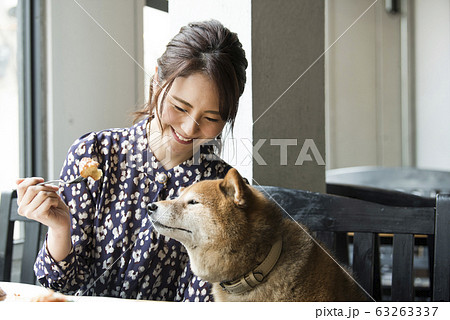 ドックカフェ カフェ 犬 女性の写真素材