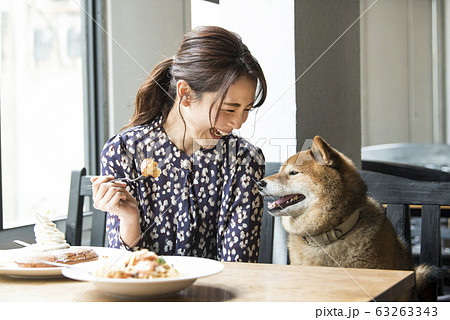 ドックカフェ　カフェ　犬　女性 63263343
