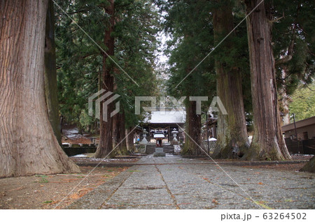 冬の河口浅間神社 63264502