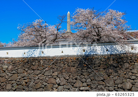 甲府城 舞鶴城公園 快晴 山梨県 桜満開の写真素材