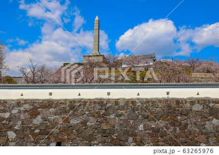 ■ 甲府城 ■ 舞鶴城公園 ■ 快晴 ■ 山梨県 ■ 桜満開 63265976